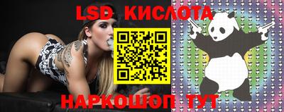 apvp Кунгур