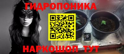apvp Кунгур