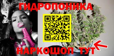 гидропоника Кулебаки