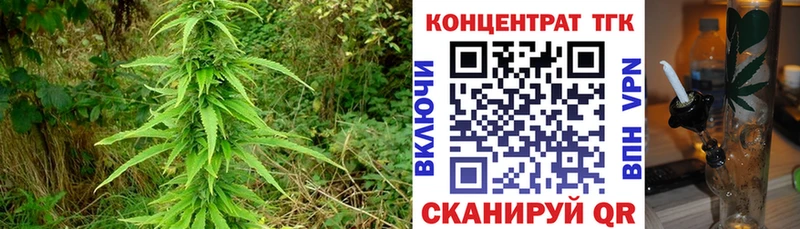 ТГК концентрат  Красноярск 