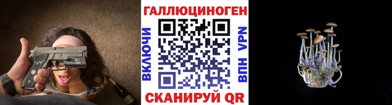 hydra онион  Красноярск  Псилоцибиновые грибы Cubensis 